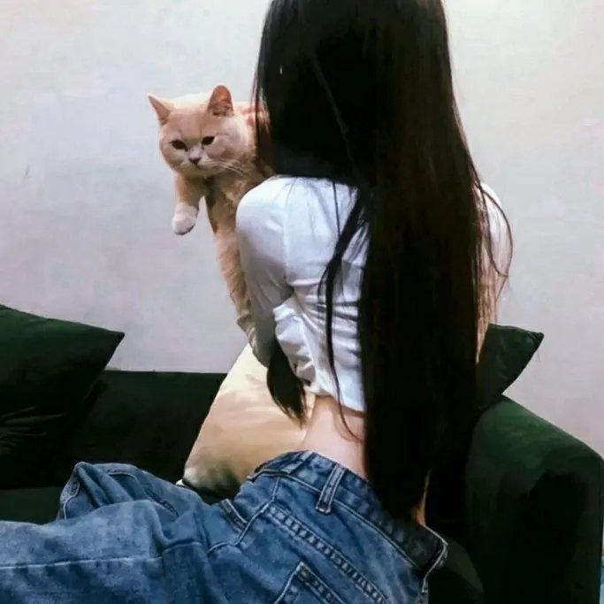 加菲猫和他的朋友们第一季